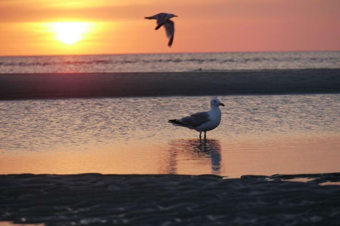 Fewo Buesum - Bella Mare - Nordseestrasse 3 Dış mekan fotoğraf
